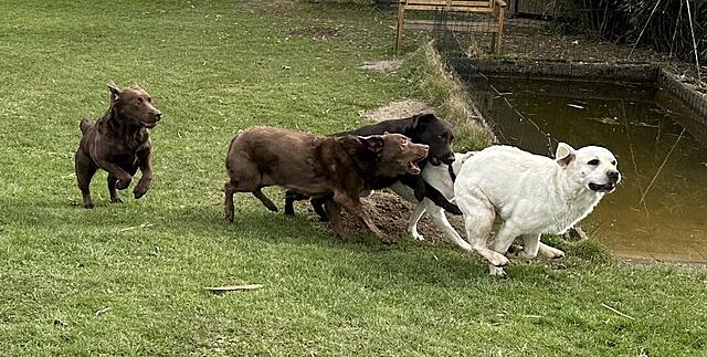 Klicke auf die Grafik für eine vergrößerte Ansicht

Name: IMG_3341.jpg
Ansichten: 21
Größe: 143,2 KB
ID: 1210766