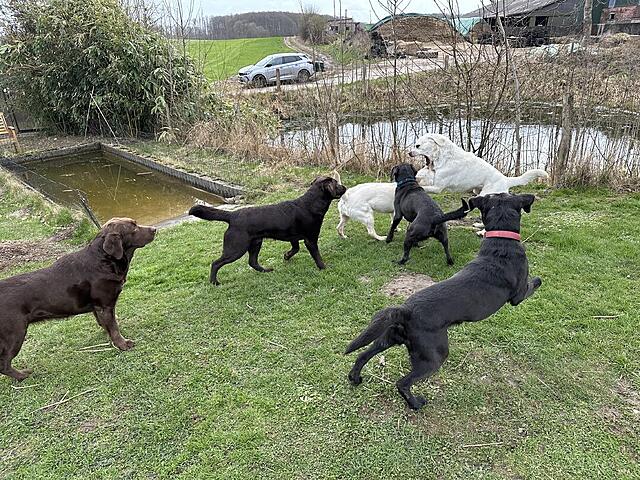 Klicke auf die Grafik für eine vergrößerte Ansicht

Name: IMG_3322.jpg
Ansichten: 21
Größe: 292,6 KB
ID: 1210769