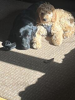 Klicke auf die Grafik für eine vergrößerte Ansicht

Name: image.jpg
Ansichten: 25
Größe: 134,9 KB
ID: 1210763