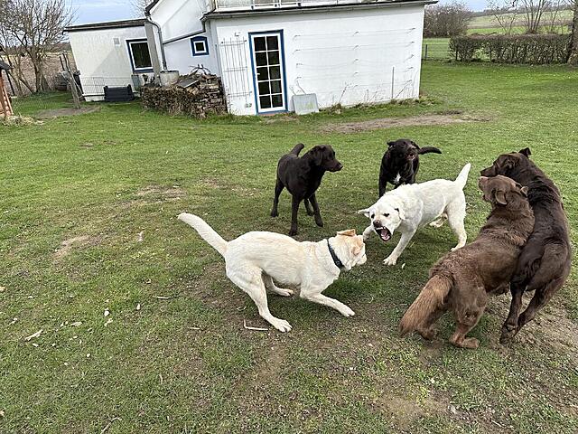 Klicke auf die Grafik für eine vergrößerte Ansicht

Name: IMG_3347.jpg
Ansichten: 21
Größe: 248,0 KB
ID: 1210768