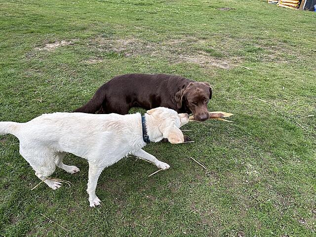 Klicke auf die Grafik für eine vergrößerte Ansicht

Name: IMG_3332.jpg
Ansichten: 21
Größe: 280,1 KB
ID: 1210770