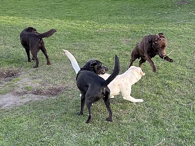 Klicke auf die Grafik für eine vergrößerte Ansicht

Name: IMG_3394.jpg
Ansichten: 40
Größe: 228,2 KB
ID: 1210774