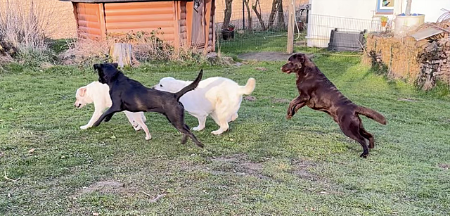 Klicke auf die Grafik für eine vergrößerte Ansicht

Name: IMG_3441.png
Ansichten: 40
Größe: 913,9 KB
ID: 1210776