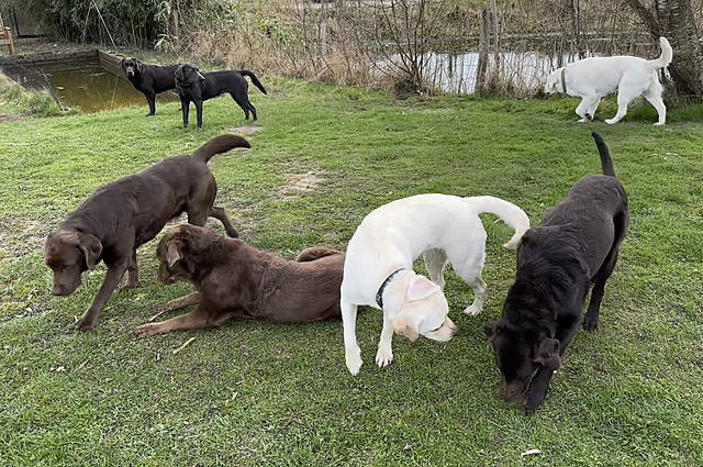 Klicke auf die Grafik für eine vergrößerte Ansicht

Name: IMG_3475.png
Ansichten: 40
Größe: 1,68 MB
ID: 1210777