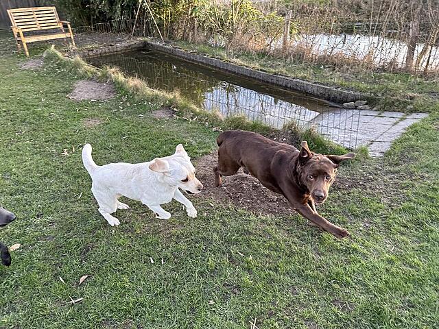 Klicke auf die Grafik für eine vergrößerte Ansicht

Name: IMG_3396.jpg
Ansichten: 40
Größe: 250,3 KB
ID: 1210778