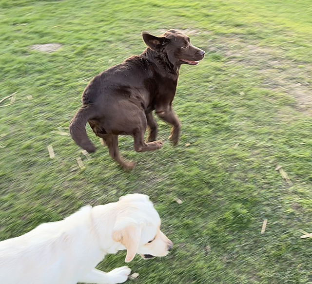 Klicke auf die Grafik für eine vergrößerte Ansicht

Name: IMG_3443.png
Ansichten: 44
Größe: 1,55 MB
ID: 1210779