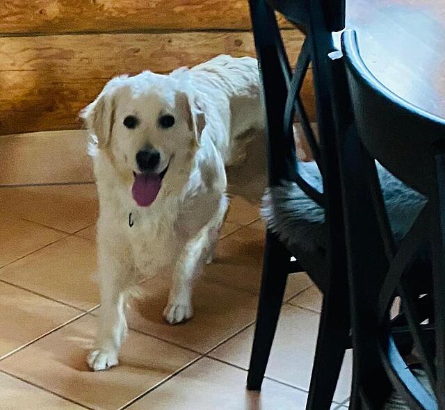 Klicke auf die Grafik für eine vergrößerte Ansicht

Name: IMG-20260402-WA0000[1].jpg
Ansichten: 482
Größe: 114,8 KB
ID: 1210824