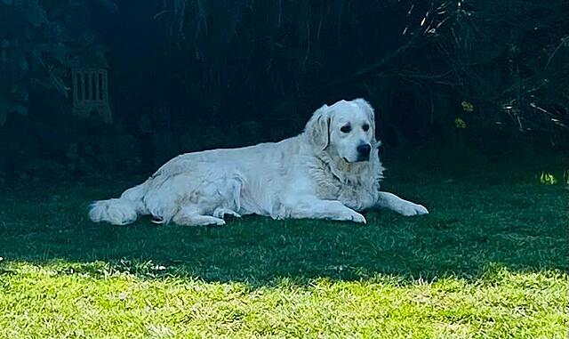 Klicke auf die Grafik für eine vergrößerte Ansicht

Name: IMG-20260402-WA0001[1].jpg
Ansichten: 457
Größe: 53,6 KB
ID: 1210825