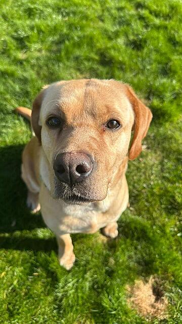 Klicke auf die Grafik für eine vergrößerte Ansicht

Name: IMG-20260401-WA0006.jpg
Ansichten: 85
Größe: 99,1 KB
ID: 1210969