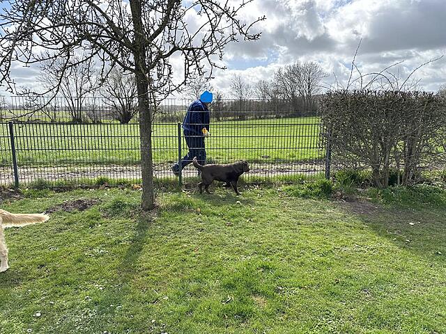 Klicke auf die Grafik für eine vergrößerte Ansicht  Name: IMG_3530 Molli verfolgt.jpg Ansichten: 8 Größe: 300,4 KB ID: 1211073