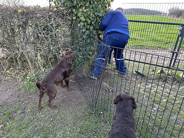 Klicke auf die Grafik für eine vergrößerte Ansicht  Name: IMG_3512.jpg Ansichten: 8 Größe: 302,6 KB ID: 1211076