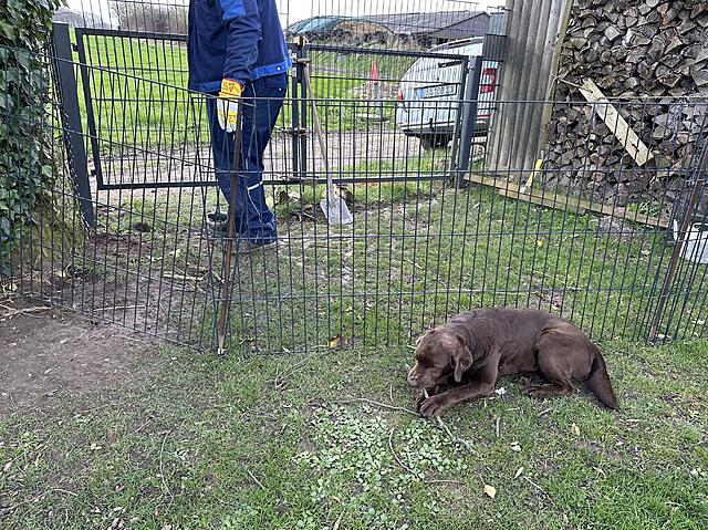 Klicke auf die Grafik für eine vergrößerte Ansicht  Name: IMG_3514.jpg Ansichten: 19 Größe: 310,3 KB ID: 1211082