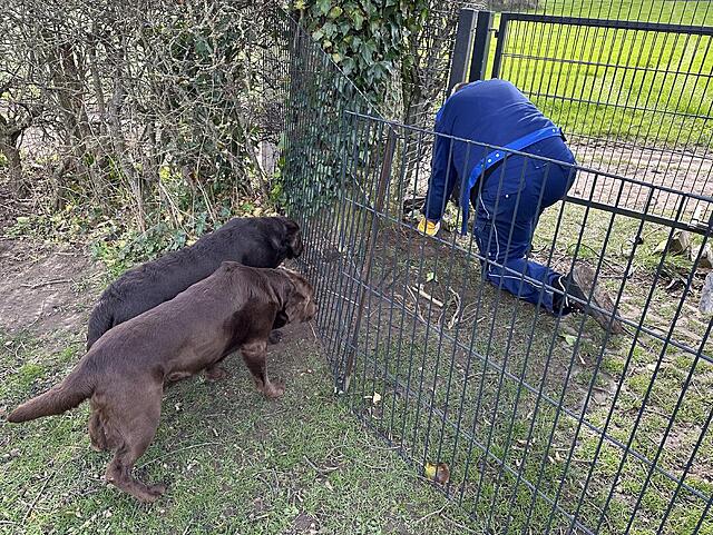 Klicke auf die Grafik für eine vergrößerte Ansicht  Name: IMG_3516.jpg Ansichten: 20 Größe: 321,6 KB ID: 1211083