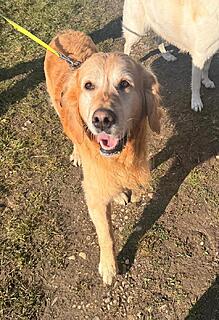 Klicke auf die Grafik für eine vergrößerte Ansicht  Name: 37563c65-ccfc-4e4d-a7ab-17597573425a.jpg Ansichten: 21 Größe: 211,3 KB ID: 1211103