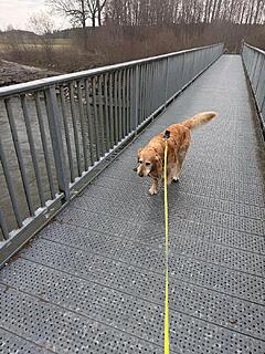 Klicke auf die Grafik für eine vergrößerte Ansicht  Name: 8d76b3e9-c063-4741-933d-ea4201c2312e.jpg Ansichten: 20 Größe: 205,3 KB ID: 1211104