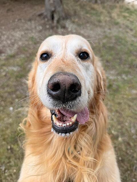 Klicke auf die Grafik für eine vergrößerte Ansicht  Name: 577220a1-ddc1-40b2-b1a7-1a4c9262e667.jpg Ansichten: 19 Größe: 86,7 KB ID: 1211107