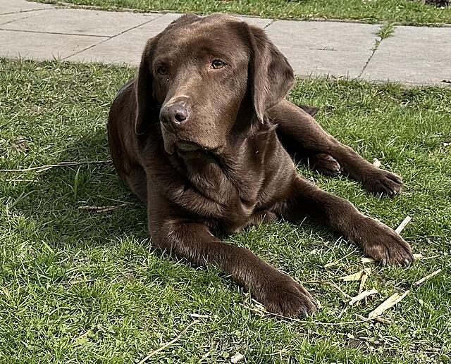 Klicke auf die Grafik für eine vergrößerte Ansicht

Name: IMG_3527.jpg
Ansichten: 67
Größe: 271,3 KB
ID: 1211328