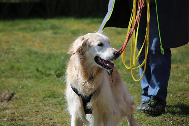 Klicke auf die Grafik für eine vergrößerte Ansicht  Name: Letti_0002.jpg Ansichten: 91 Größe: 82,8 KB ID: 1211302