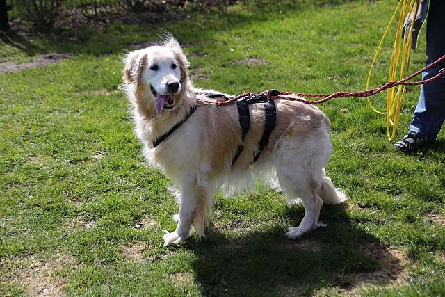 Klicke auf die Grafik für eine vergrößerte Ansicht  Name: IMG-20260407-WA0007.jpg Ansichten: 88 Größe: 153,7 KB ID: 1211304