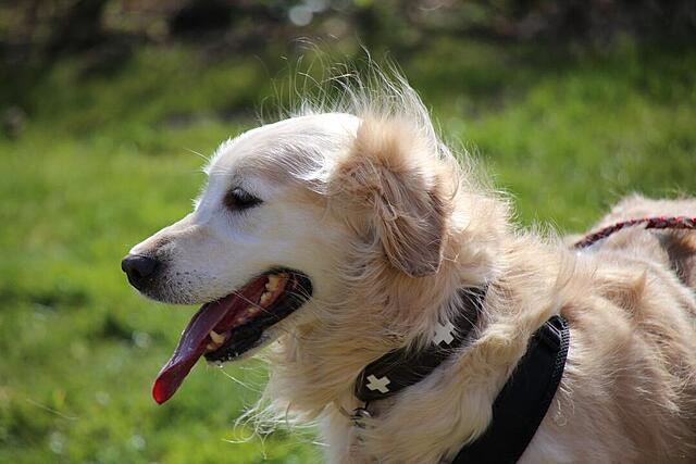 Klicke auf die Grafik für eine vergrößerte Ansicht  Name: IMG-20260407-WA0008.jpg Ansichten: 87 Größe: 74,5 KB ID: 1211305