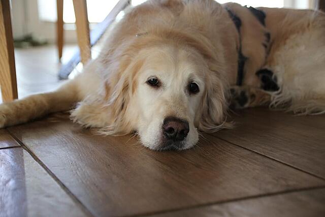 Klicke auf die Grafik für eine vergrößerte Ansicht  Name: IMG-20260407-WA0012.jpg Ansichten: 91 Größe: 55,0 KB ID: 1211308