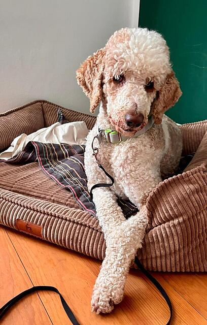 Klicke auf die Grafik für eine vergrößerte Ansicht

Name: image.png
Ansichten: 5
Größe: 471,9 KB
ID: 1211367