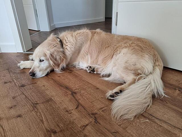 Klicke auf die Grafik für eine vergrößerte Ansicht  Name: 20260408_143741.jpg Ansichten: 5 Größe: 130,0 KB ID: 1211463