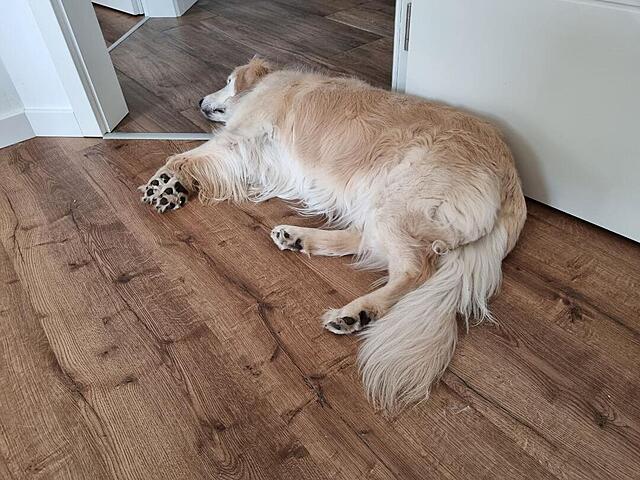 Klicke auf die Grafik für eine vergrößerte Ansicht  Name: 20260408_150244.jpg Ansichten: 5 Größe: 142,7 KB ID: 1211464