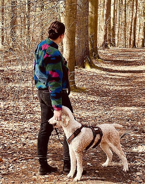 Klicke auf die Grafik für eine vergrößerte Ansicht  Name: 4845de25-6728-416f-bf09-ee8ec3269afb.jpg Ansichten: 0 Größe: 321,0 KB ID: 1211723