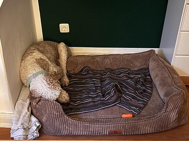 Klicke auf die Grafik für eine vergrößerte Ansicht  Name: IMG_0702.jpg Ansichten: 0 Größe: 123,4 KB ID: 1211725