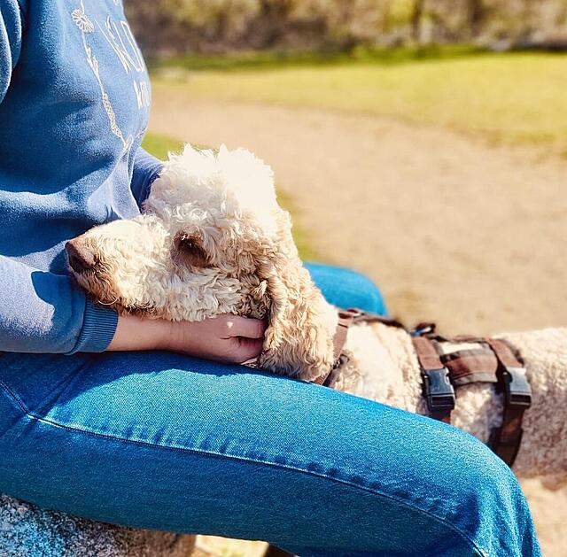 Klicke auf die Grafik für eine vergrößerte Ansicht  Name: ae08c308-33d3-462c-95b3-a0f7daba2efe.jpg Ansichten: 0 Größe: 173,8 KB ID: 1211726