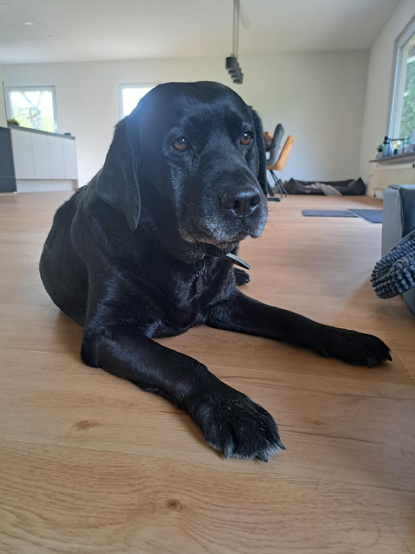 Klicke auf die Grafik für eine vergrößerte Ansicht  Name: 20260410_122131.jpg Ansichten: 44 Größe: 79,8 KB ID: 1211799