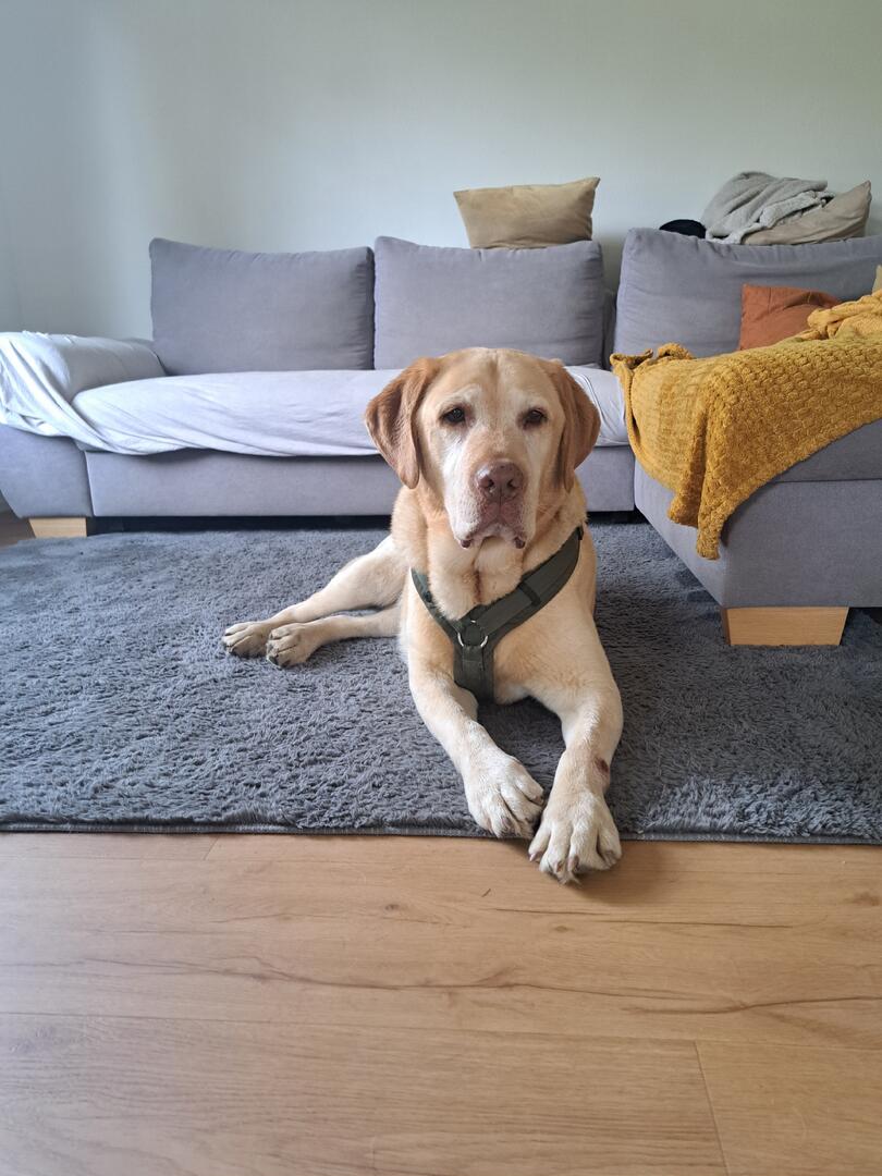 Klicke auf die Grafik für eine vergrößerte Ansicht  Name: 20260410_122012.jpg Ansichten: 44 Größe: 109,0 KB ID: 1211800