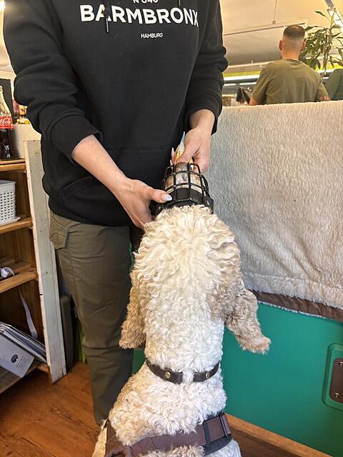 Klicke auf die Grafik für eine vergrößerte Ansicht  Name: IMG_0759.jpg Ansichten: 11 Größe: 105,1 KB ID: 1212029