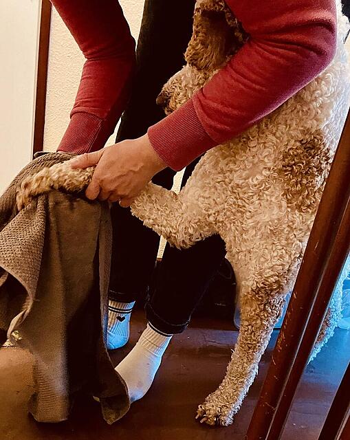 Klicke auf die Grafik für eine vergrößerte Ansicht  Name: 26d1de99-128d-4d11-b8ce-6c4647e09cfc.jpg Ansichten: 0 Größe: 141,1 KB ID: 1212025