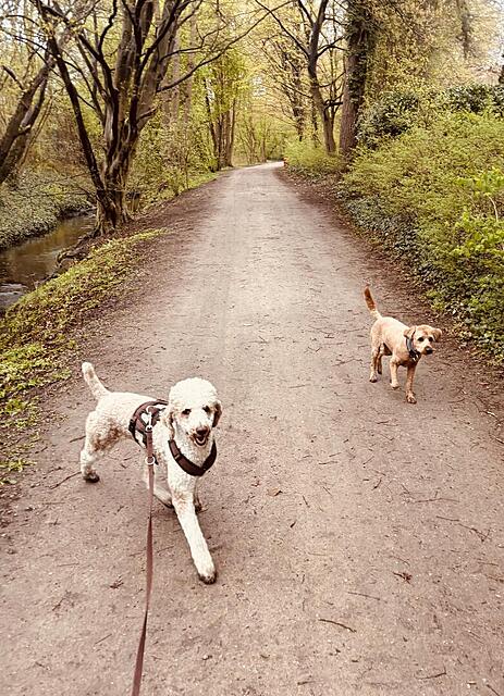 Klicke auf die Grafik für eine vergrößerte Ansicht  Name: IMG_0769.jpg Ansichten: 0 Größe: 201,0 KB ID: 1212026