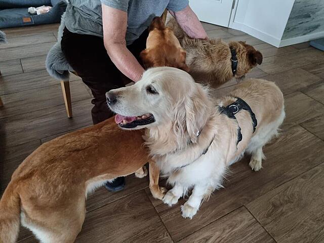 Klicke auf die Grafik für eine vergrößerte Ansicht  Name: 20260410_150738.jpg Ansichten: 58 Größe: 97,5 KB ID: 1212082