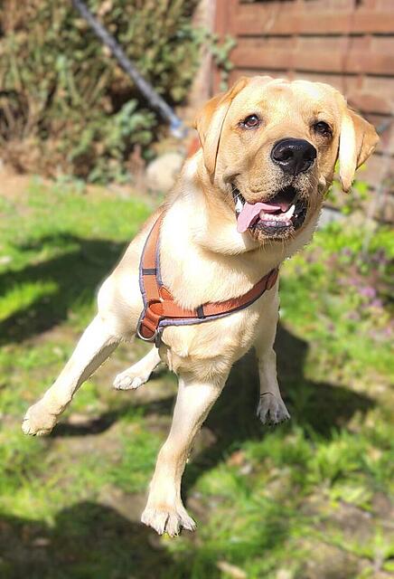 Klicke auf die Grafik für eine vergrößerte Ansicht  Name: WhatsApp Image 2026-04-10 at 12.33.09.jpg Ansichten: 12 Größe: 86,0 KB ID: 1212122