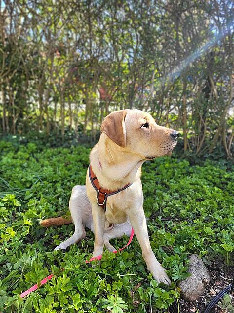 Klicke auf die Grafik für eine vergrößerte Ansicht  Name: WhatsApp Image 2026-04-11 at 13.02.32.jpg Ansichten: 12 Größe: 176,5 KB ID: 1212123