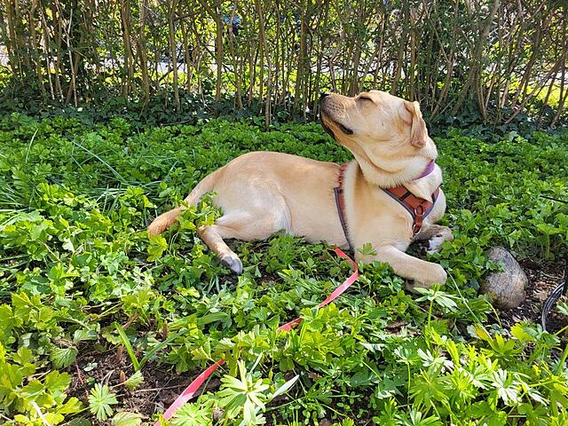 Klicke auf die Grafik für eine vergrößerte Ansicht  Name: 20260411_113350 (Mittel).jpg Ansichten: 12 Größe: 407,0 KB ID: 1212124