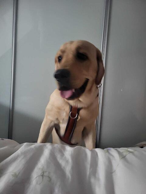 Klicke auf die Grafik für eine vergrößerte Ansicht  Name: WhatsApp Image 2026-04-11 at 07.59.10 (1).jpg Ansichten: 12 Größe: 44,5 KB ID: 1212126