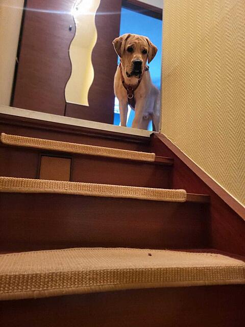 Klicke auf die Grafik für eine vergrößerte Ansicht  Name: WhatsApp Image 2026-04-11 at 07.59.09 (1).jpg Ansichten: 11 Größe: 87,0 KB ID: 1212131