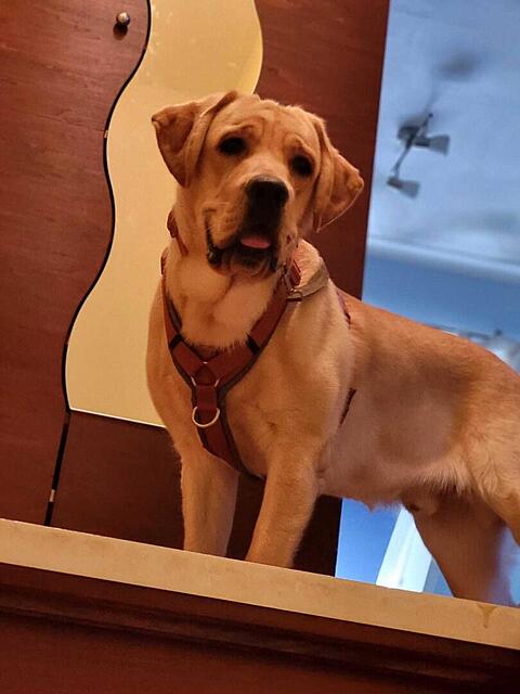 Klicke auf die Grafik für eine vergrößerte Ansicht  Name: WhatsApp Image 2026-04-11 at 07.59.09.jpg Ansichten: 11 Größe: 65,7 KB ID: 1212132