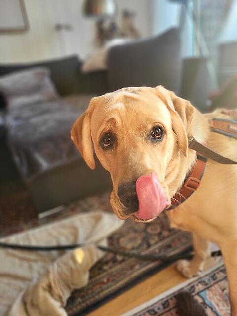 Klicke auf die Grafik für eine vergrößerte Ansicht  Name: 20260410_191107 (Mittel).jpg Ansichten: 10 Größe: 98,2 KB ID: 1212133