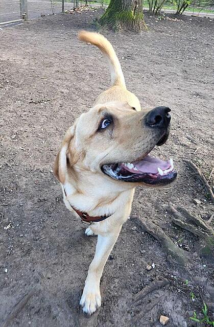 Klicke auf die Grafik für eine vergrößerte Ansicht  Name: WhatsApp Image 2026-04-11 at 07.57.35.jpg Ansichten: 11 Größe: 186,3 KB ID: 1212134