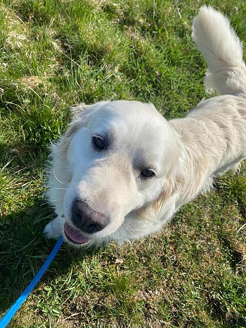 Klicke auf die Grafik für eine vergrößerte Ansicht

Name: IMG-20260412-WA0005[1].jpg
Ansichten: 38
Größe: 180,4 KB
ID: 1212172