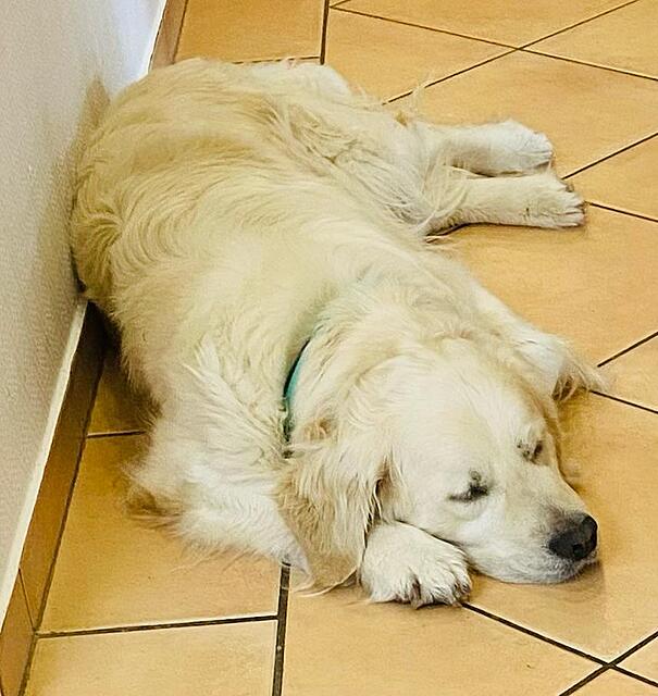 Klicke auf die Grafik für eine vergrößerte Ansicht

Name: IMG-20260412-WA0006[1].jpg
Ansichten: 36
Größe: 85,4 KB
ID: 1212173