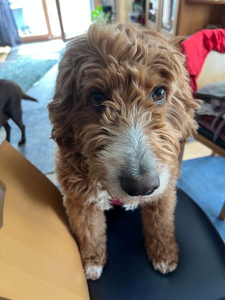 Klicke auf die Grafik für eine vergrößerte Ansicht  Name: Hattie7.jpg Ansichten: 118 Größe: 44,1 KB ID: 1212302