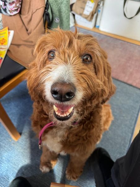 Klicke auf die Grafik für eine vergrößerte Ansicht  Name: Hattie9.jpg Ansichten: 107 Größe: 46,4 KB ID: 1212305