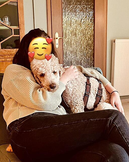 Klicke auf die Grafik für eine vergrößerte Ansicht  Name: 90d0040b-927c-4583-aef5-9bb338b208e9.jpg Ansichten: 0 Größe: 155,4 KB ID: 1212351